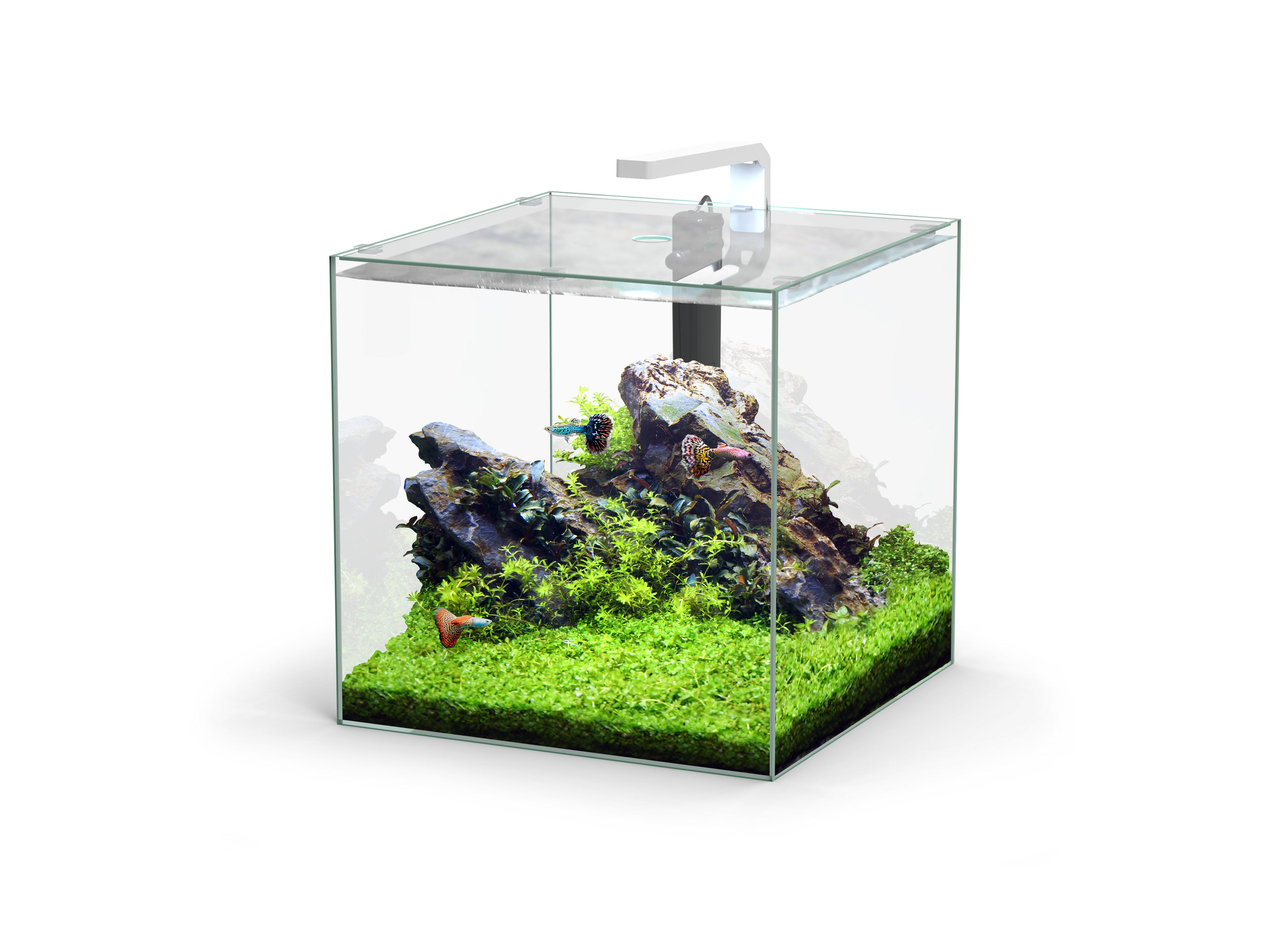 Aquatlantis - Aquarium Kubus 54L - Equip&eacute; Image num&eacute;ro 1