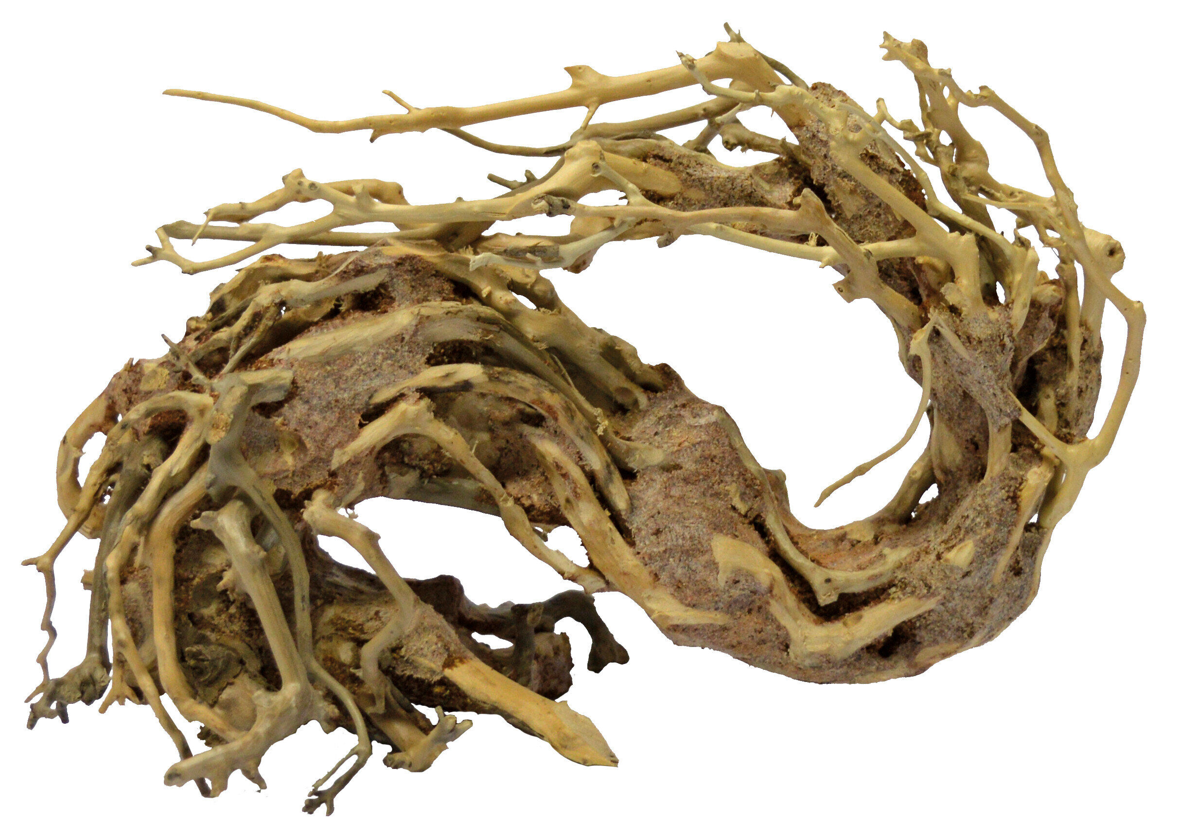 Superfish - Racine Bonsai Wave pour Aquarium - S Image num&eacute;ro 1