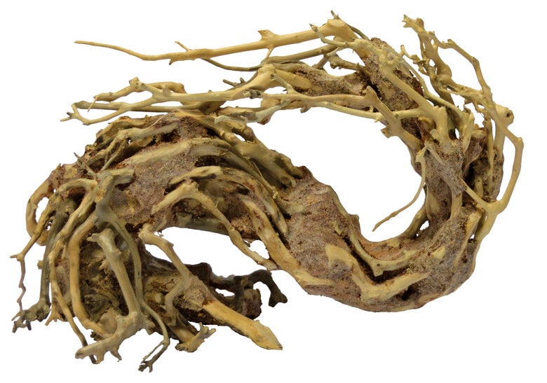 Superfish - Racine Bonsai Wave pour Aquarium - S Image numéro 1 Superfish - Racine Bonsai Wave pour Aquarium - S Image numéro 1