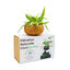 CocoPlant - Filtration Naturelle CocoGarden sans Pompe pour Aquarium Indicateur image numéro 2