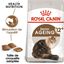 Royal Canin - Croquettes Ageing +12 pour Chat Senior - 4Kg Indicateur image numéro 2