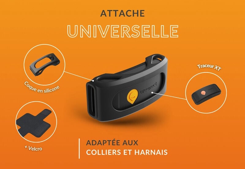 Weenect - Traceur GPS Weenect XT sans Collier pour Chiens - XT - Noir Image num&eacute;ro 2