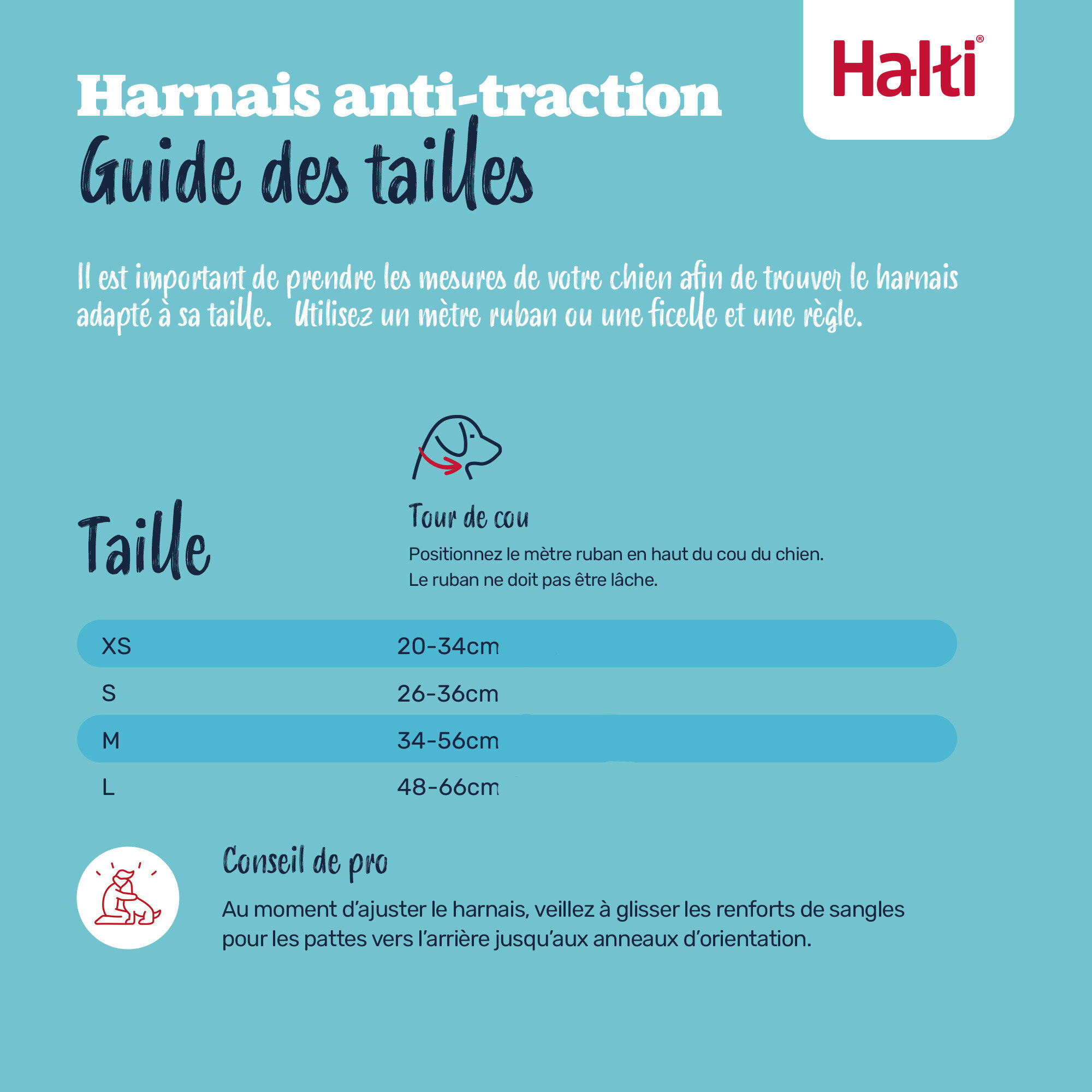 Halti - Harnais Anti-Traction Train pour Chiens - S Image num&eacute;ro 4