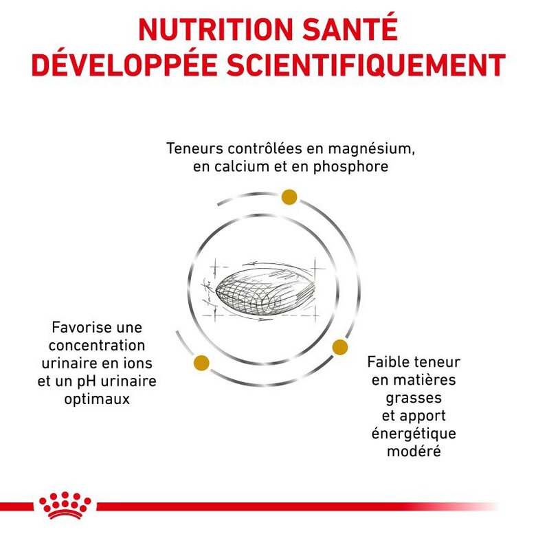 Royal Canin - Croquettes Veterinary Diet Urinary S/O Moderate Calorie pour Chien - 1,5Kg Image numéro 3 Royal Canin - Croquettes Veterinary Diet Urinary S/O Moderate Calorie pour Chien - 1,5Kg Image numéro 3