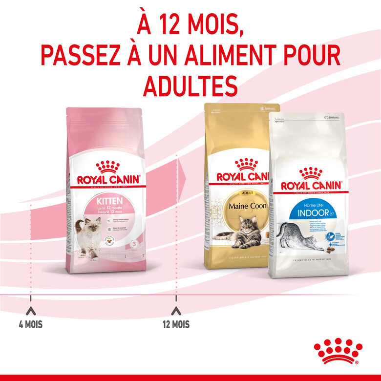 Royal Canin - Croquettes Kitten pour Chaton - 400g Image numéro 6 Royal Canin - Croquettes Kitten pour Chaton - 400g Image numéro 6