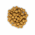 Hill's Science Plan - Croquettes Light au Poulet pour Chien Sénior de Petite Race - 2,5Kg image number null