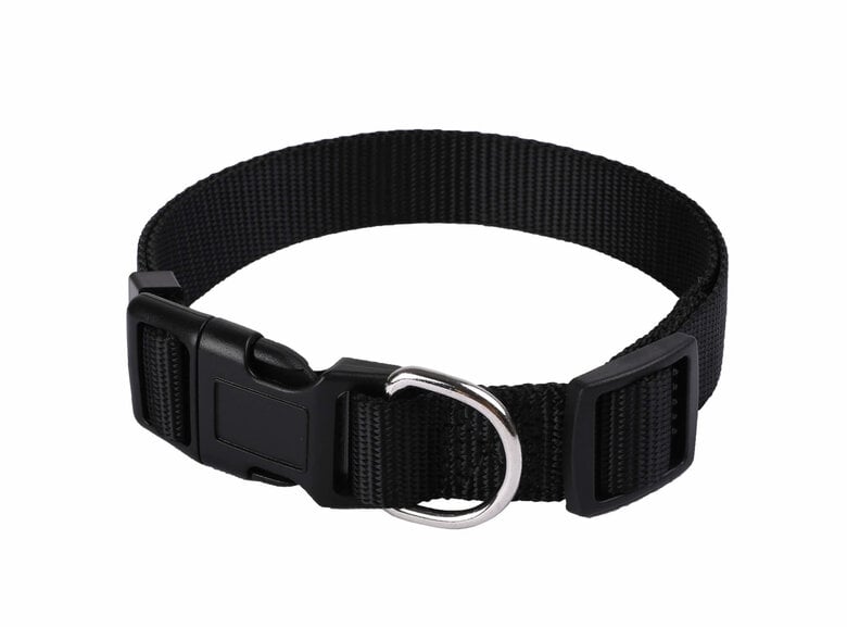 Animalis - Collier Basic Noir pour Chien - 12mm et 23/30cm Image numéro 1 Animalis - Collier Basic Noir pour Chien - 12mm et 23/30cm Image numéro 1