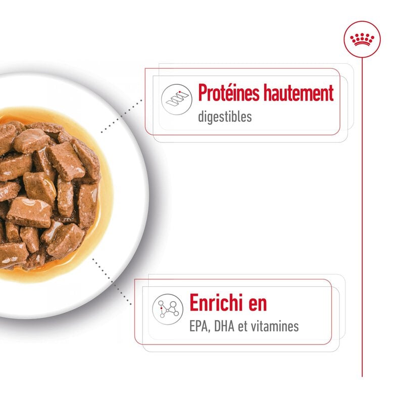 ROYAL CANIN - SACHET FRAICHEUR MAXI AGEING en sauce POUR CHIENS SENIORS - 10x140 Image numéro 5 ROYAL CANIN - SACHET FRAICHEUR MAXI AGEING en sauce POUR CHIENS SENIORS - 10x140 Image numéro 5