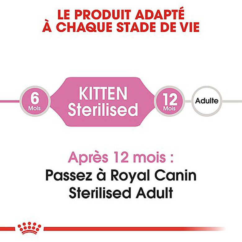 Royal Canin - Croquettes Kitten Sterilised pour Chaton - 400g image number null