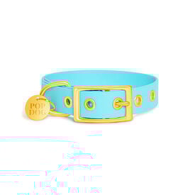 Pop Dog - Collier à ¼illet Dragueur Bleu pour Chien