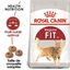 Royal Canin - Croquettes Fit 32 pour Chat Adulte - 10Kg Indicateur image numéro 2