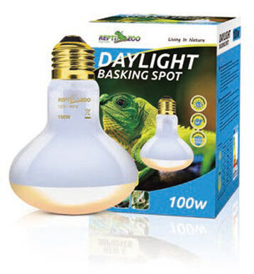 Reptizoo - Lampe Daylight Basking Spot - 100W