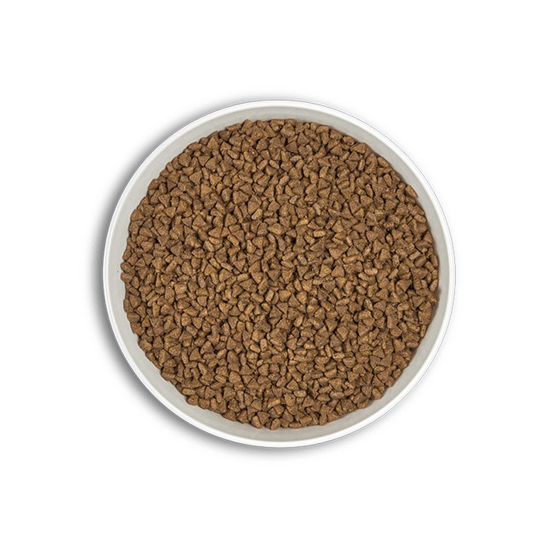 Era - Croquettes Millennium Puppy Poulet et Dinde pour Chiots - 2Kg Image numéro 3 Era - Croquettes Millennium Puppy Poulet et Dinde pour Chiots - 2Kg Image numéro 3