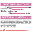 Royal Canin - Croquettes Kitten pour Chaton image number null