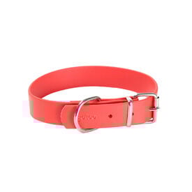 Gotoo - Collier Premium Biotane Rouge pour Chien