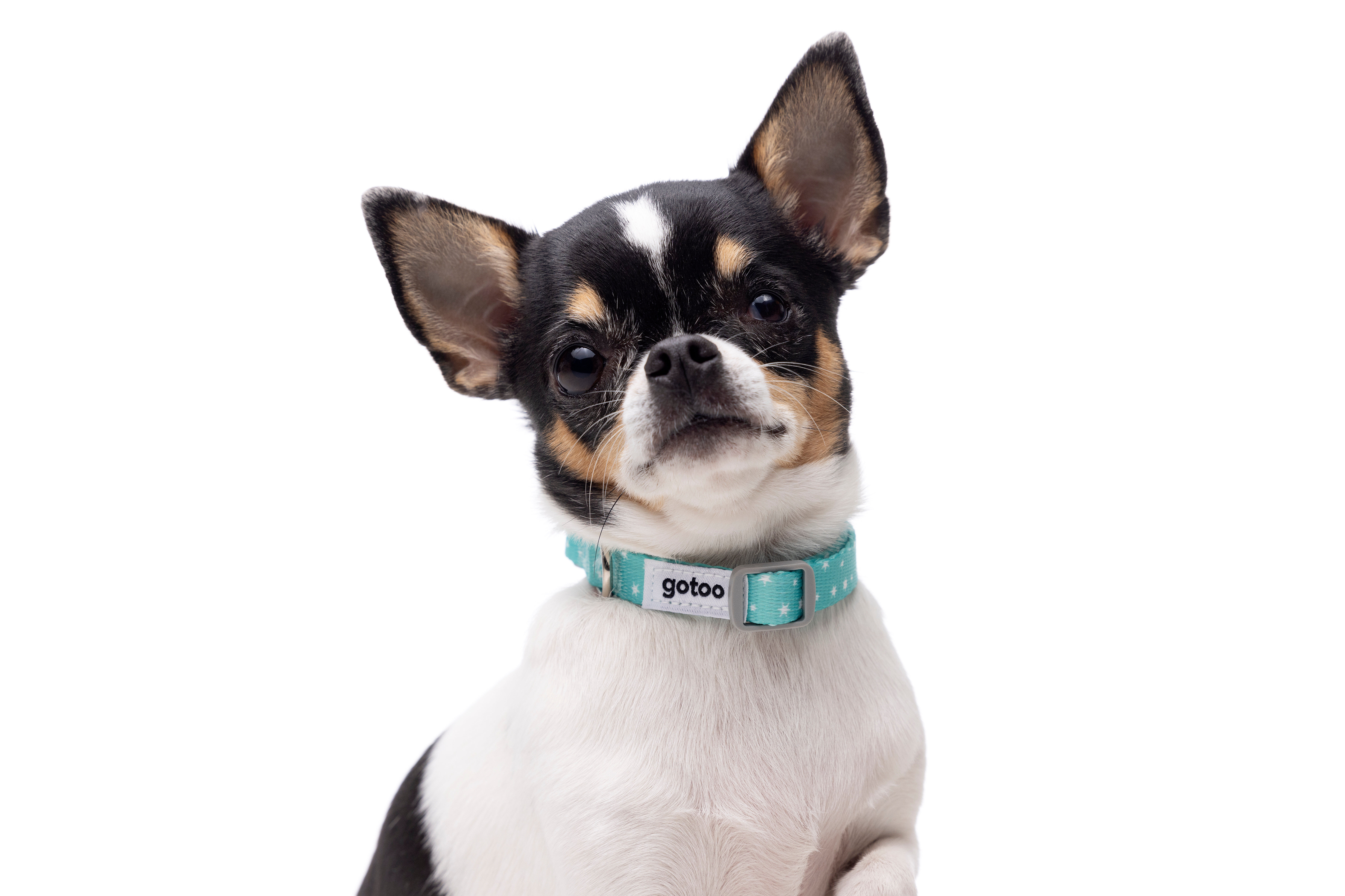 Gotoo - Set Etoiles Bleu pour Chiot Image num&eacute;ro 3