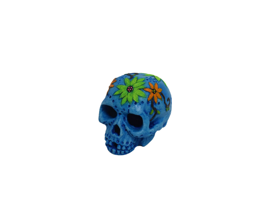 Amtra - D&eacute;coration Mexique Cr&acirc;ne Bleu pour Aquarium - L Image num&eacute;ro 1