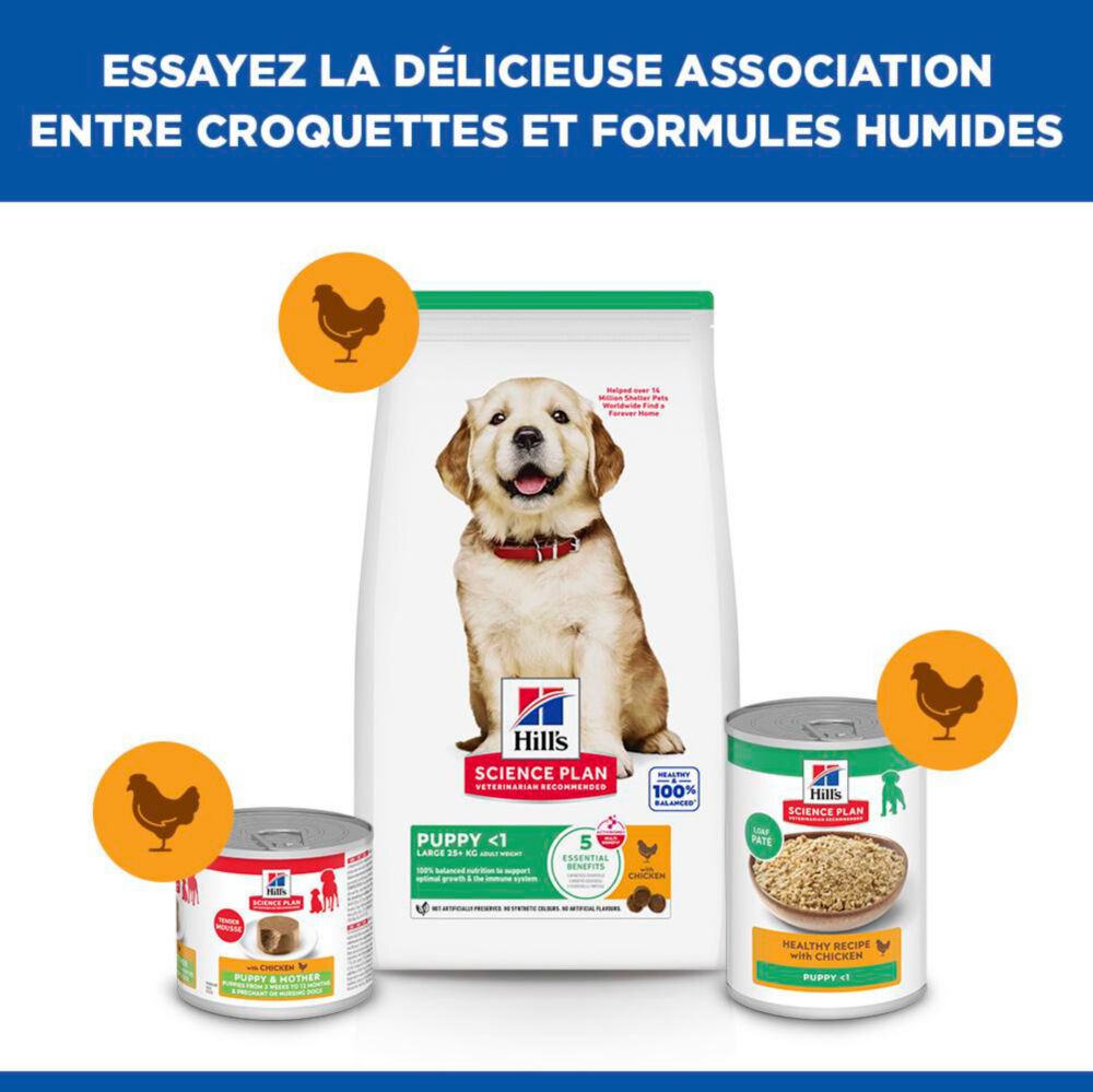 Hill's Science Plan - Puppy Croquettes Pour Chiot De Grande Taille Au Poulet  - 12kg Image num&eacute;ro 13