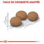 Royal Canin - Croquettes Senior Sterilised 12+ pour Chat Senior - 4Kg Indicateur image numéro 5