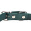 Gotoo - Collier Premium Biotane Vert pour Chien - S Indicateur image numéro 2