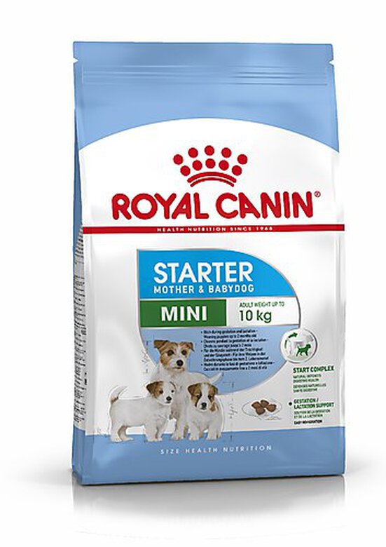 Royal Canin - Croquettes Mini Starter Mother & Babydog pour Chiot - 3Kg image number null