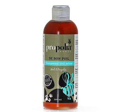 Propolia - Shampoing Tout Pelage Miel et Propolis - 200ml