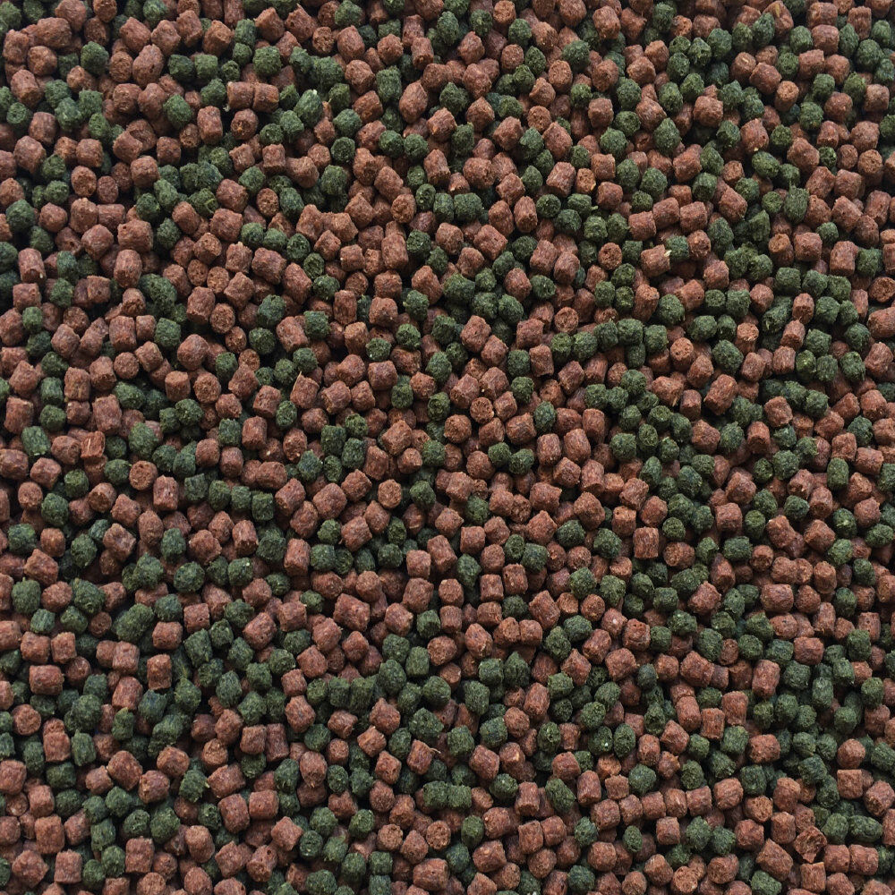 Amtra - Aliment Pro Oranda Gran - 100ml Image num&eacute;ro 2