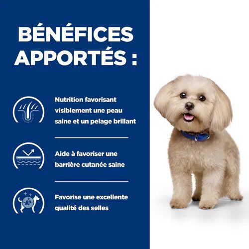 Hill's Prescription Diet- Croquettes Diet Z/D Mini Sensitivities pour Petits Chiens - 1Kg Image num&eacute;ro 3