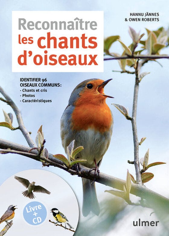Reconnaitre les chants d'oiseaux Image numéro 1 Reconnaitre les chants d'oiseaux Image numéro 1