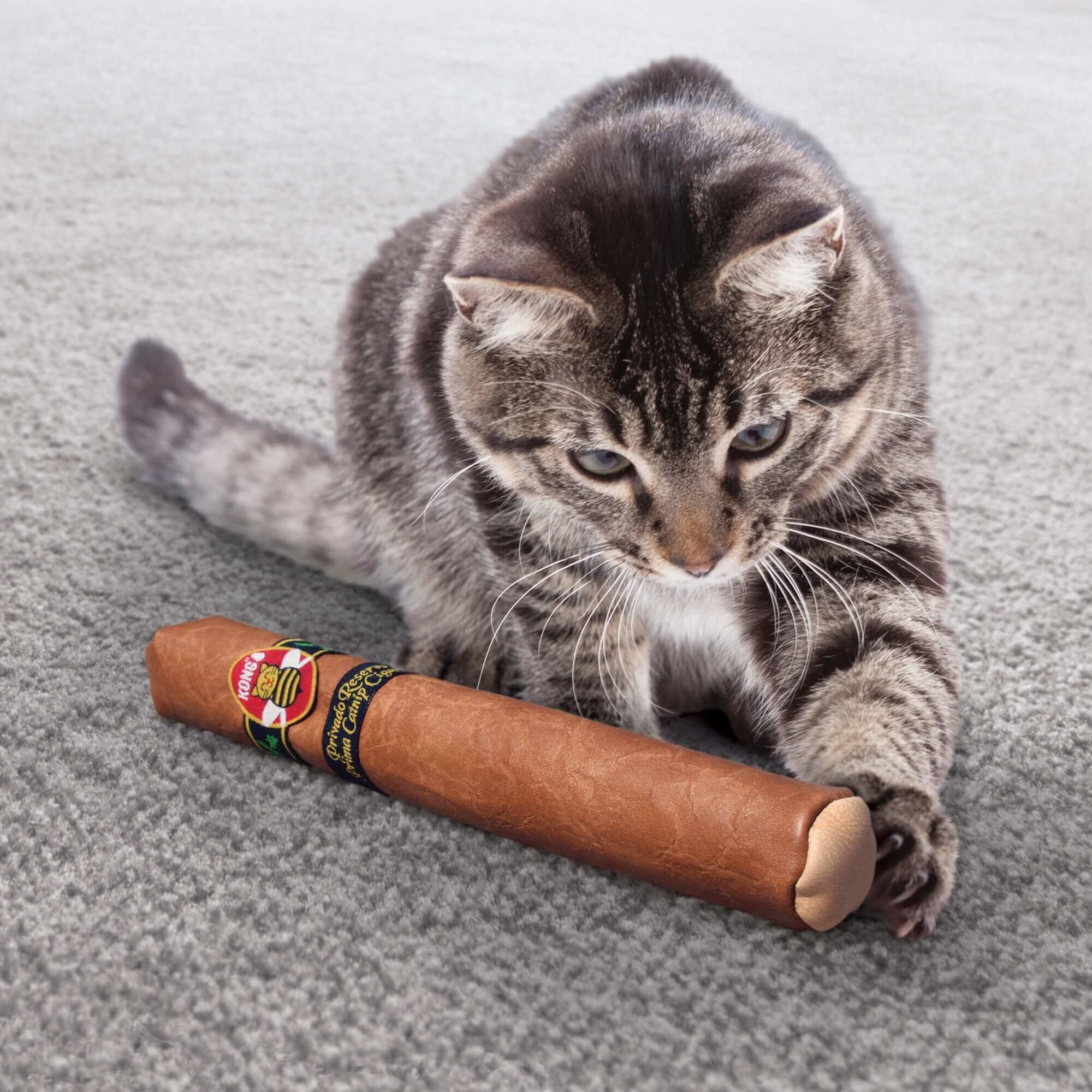 KONG - Jouet Cigare Better Buzz Cigar pour Chat Image num&eacute;ro 3