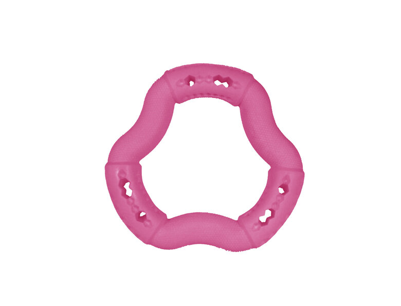 Vadigran - Jouet Anneau Fruit Rouge pour Chiens - 12cm Image numéro 2 Vadigran - Jouet Anneau Fruit Rouge pour Chiens - 12cm Image numéro 2