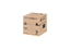Ciano - Aquarium Emotions Pro 40 Noir - 52L Indicateur image numéro 6