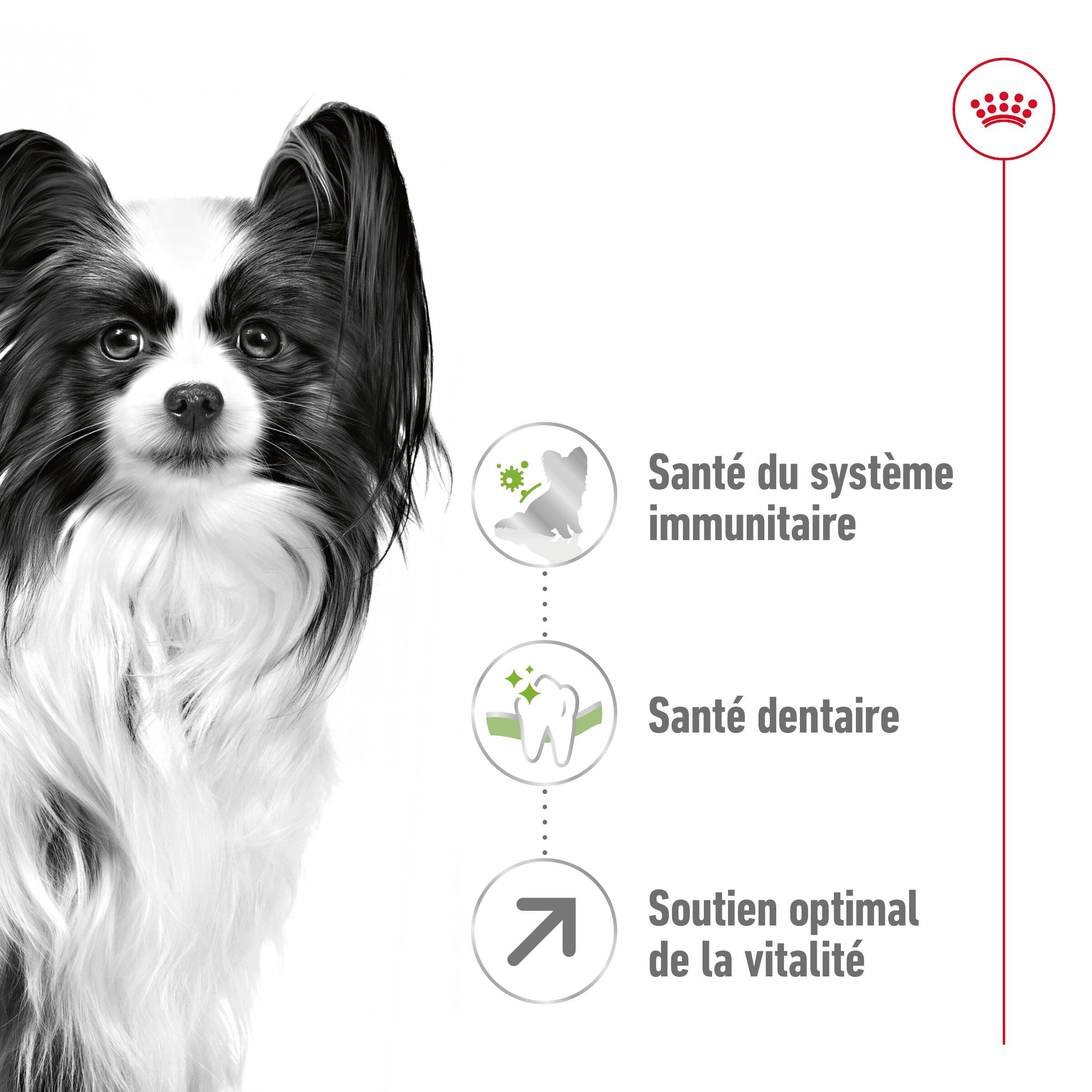 Royal Canin - Croquettes X SMALL ADULT 8+ pour chiens - 1,5KG Image num&eacute;ro 11