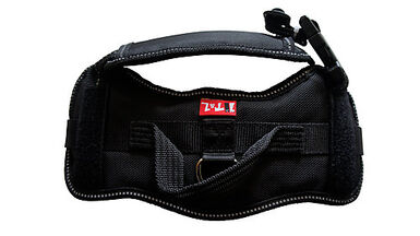 Animalis - Harnais de Running Noir pour Chien - L