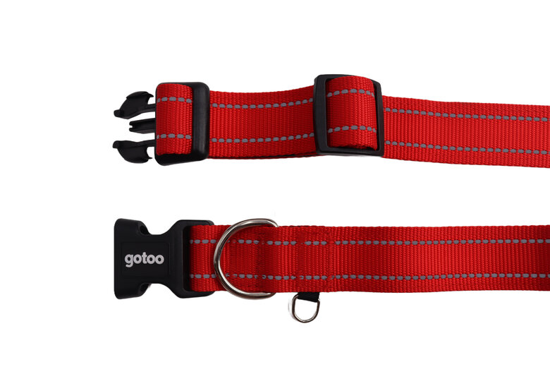 Gotoo - Collier Essentials en Nylon Premium Rouge pour Chien - XS Image numéro 5 Gotoo - Collier Essentials en Nylon Premium Rouge pour Chien - XS Image numéro 5