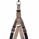 Animalis - Harnais Basic Confort T4 40mm et 96/120cm pour Chien - Bleu image number null