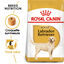 Royal Canin - Croquettes Labrador Adult pour Chiens de plus de 15 Mois - 3Kg Indicateur image numéro 1