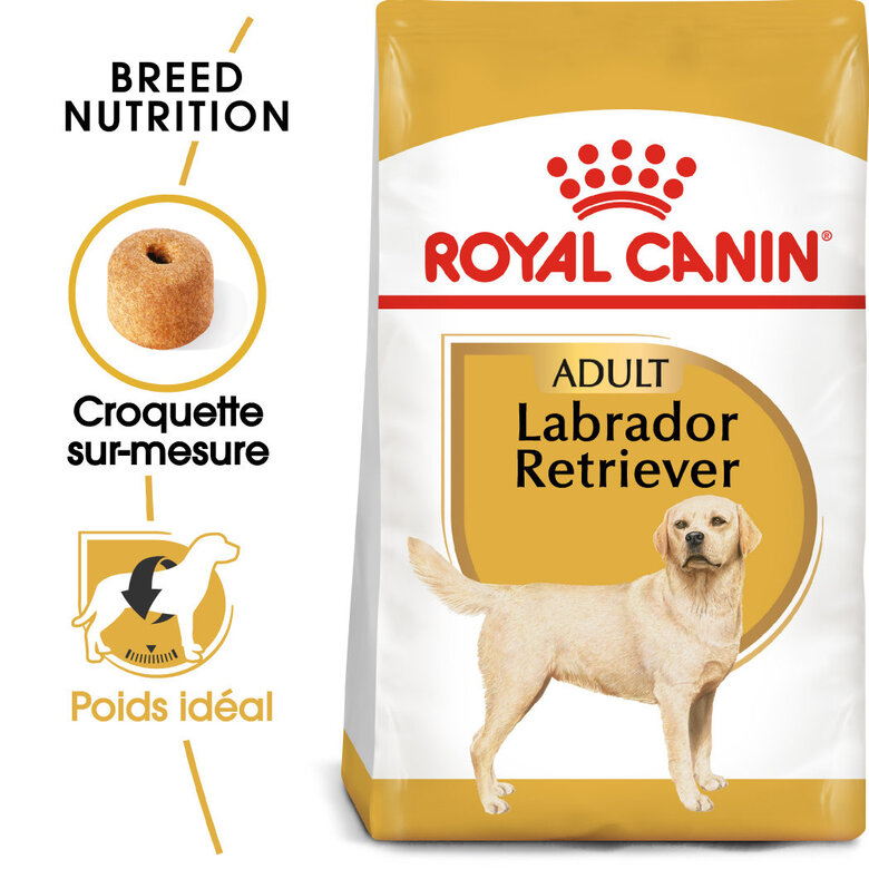 Royal Canin - Croquettes Labrador Adult pour Chiens de plus de 15 Mois - 3Kg Image numéro 1 Royal Canin - Croquettes Labrador Adult pour Chiens de plus de 15 Mois - 3Kg Image numéro 1