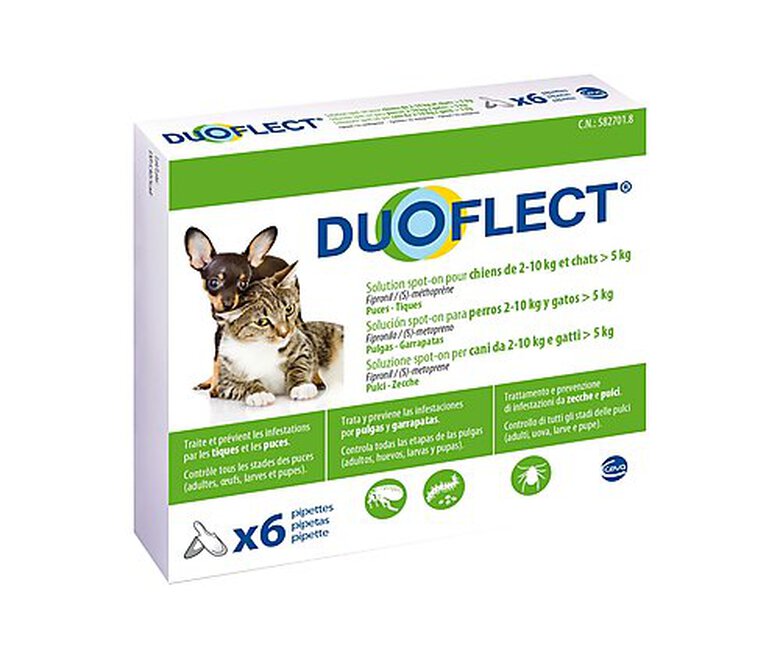 Duoflect - Pipettes Antiparasitaire de 2 à 10Kg pour Chien et Chat - x6 image number null