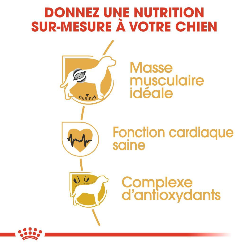 Royal Canin - Croquettes Boxer pour Chien Adulte - 12Kg Image num&eacute;ro 5