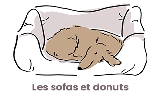 Les sofas et donuts 