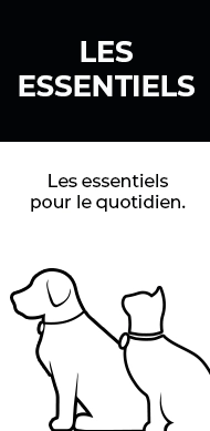 Les Essentiels