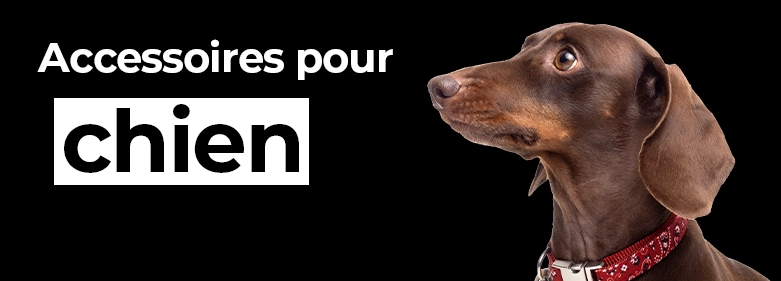 Sellerie pour chiens