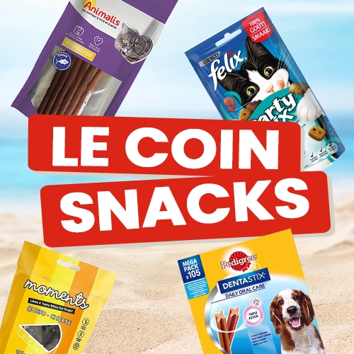 Le coin snacks