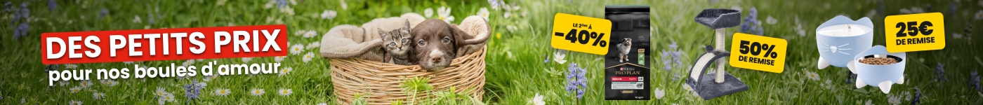 Des petits prix pour nos boules d'amour