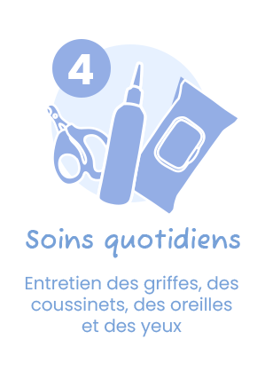 Les soins quotidiens