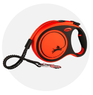 Laisses à Enrouleurs