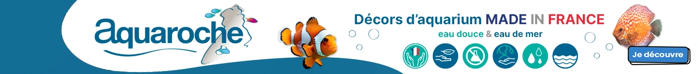 Aquaroche Aquaroche