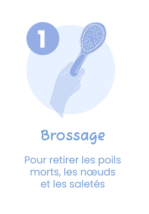 Le brossage