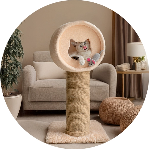 Petit arbre à chat
